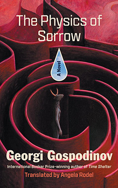 The Physics of Sorrow:  A Novel