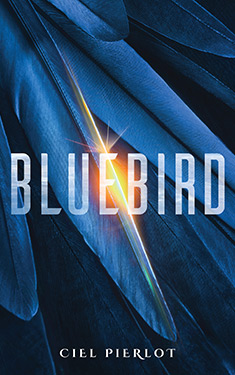 Bluebird