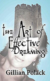 The Art of Effective Dreaming