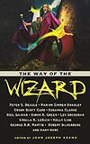 The Way of the Wizard