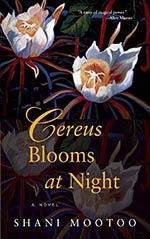 Cereus Blooms at Night 