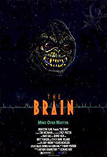 The Brain